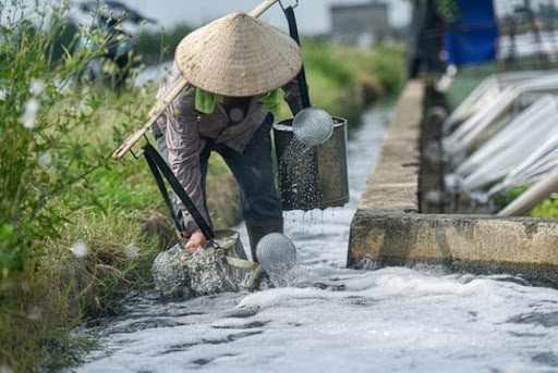 DÙNG NƯỚC THẢI ĐỂ TƯỚI RUỘNG ĐƯỢC KHÔNG?